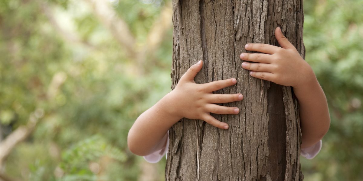 camperreis met kinderen