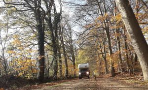 Special Campers in de Nederlandse bossen